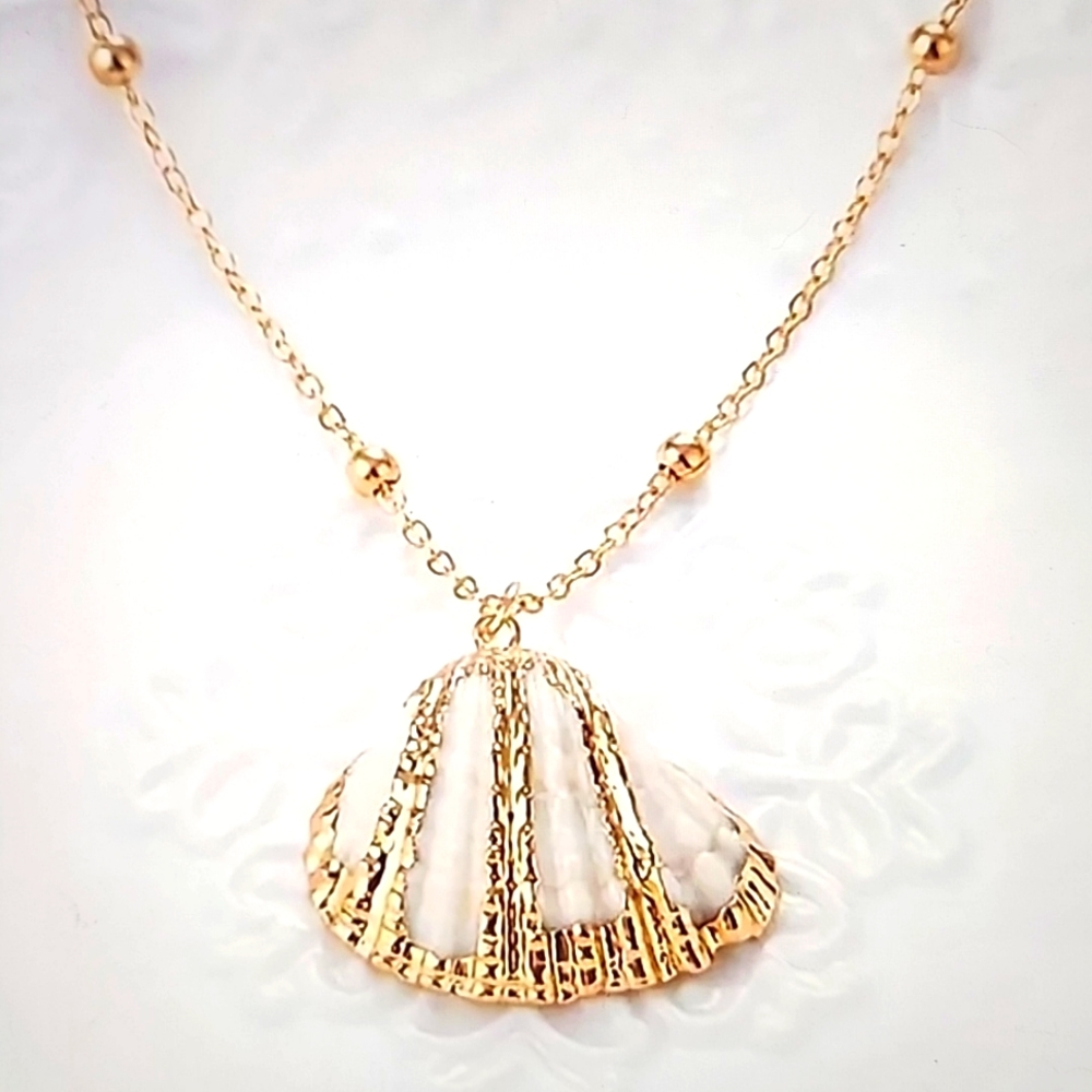 Shell Necklace 🐚 - Picture 1 of 7
